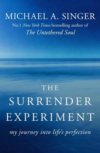 The Surrender Experiment. My Journey into Life's Perfection