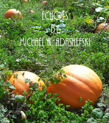  Michael Adashefski - Echoes.