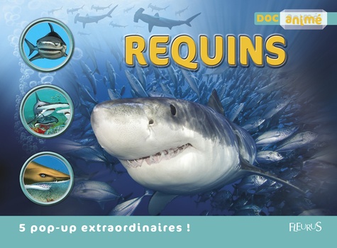 Michael Bright - Requins.