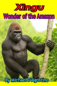 Xingu Wonder Of The Amazon