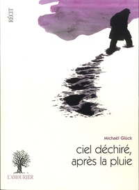 Michaël Glück - Ciel dechiré, après la pluie.