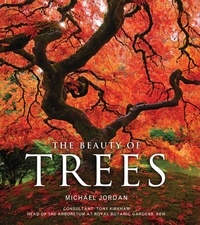 Michael Jordan - The Beauty of Trees.
