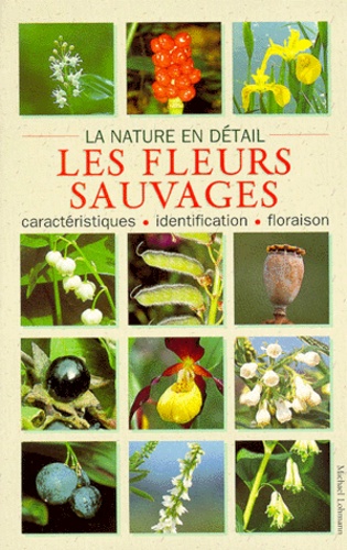 Michael Lohmann - Les fleurs sauvages.