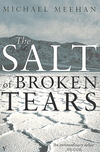 Michael Meehan - The Salt Of Broken Tears.