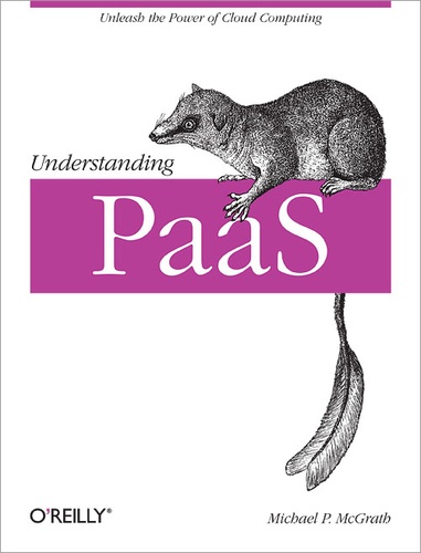 Michael P. McGrath - Understanding PaaS.