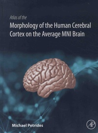 Atlas of the Morphology of the Human Cerebral Cortex on the Average MNI Brain.pdf