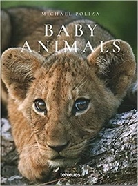 Baby animals.pdf