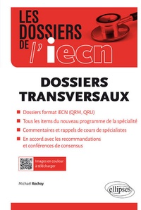 Michaël Rochoy - Dossiers transversaux.