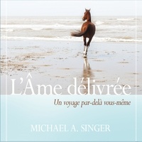 Michael Singer - L'âme délivrée - Un voyage par-delà vous-même.