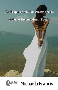 The Prophecy And The Promise Made (Order Of The Amethyst Book 3)
