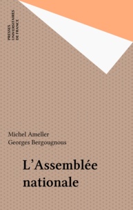 Michel Ameller et Georges Bergougnous - L'Assemblée nationale.