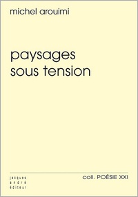 Michel Arouimi - Paysages sous tension.