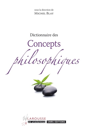 Michel Blay - Dictionnaire des concepts philosophiques.