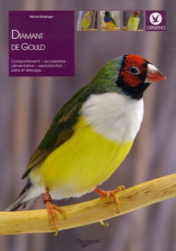 Michel Bolzinger - Le Diamant de Gould.