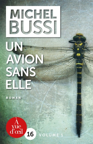 Michel Bussi - Un avion sans elle - 2 volumes.
