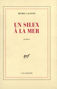 Un Silex A La Mer