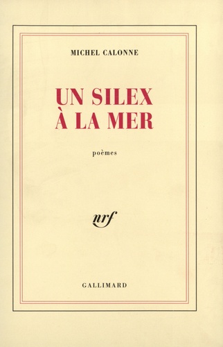 Michel Calonne - Un Silex A La Mer.