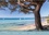 CALVENDO Places  Littoral de la Côte d'Azur(Premium, hochwertiger DIN A2 Wandkalender 2020, Kunstdruck in Hochglanz). Merveilleux littoral de la Côte d'Azur - Calendrier mensuel (Calendrier mensuel, 14 Pages )