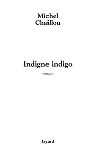 Michel Chaillou - Indigne indigo.