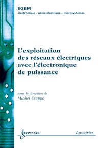 Michel Crappe - L'exploitation des réseaux électriques avec l'électronique de puissance.
