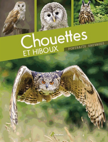 Michel Cuisin - Chouettes et hiboux.