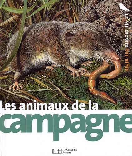 couverture de : Les animaux de la campagne