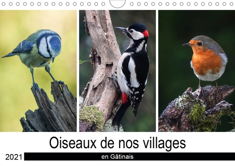 CALVENDO Nature  Oiseaux de nos villages en Gâtinais (Calendrier mural 2021 DIN A4 horizontal). Photographies d'oiseaux que l'on peut voir en France (Calendrier mensuel, 14 Pages )