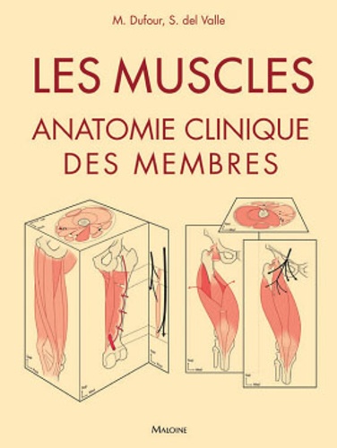 Michel Dufour et Santiago del Valle Acedo - Les muscles - Anatomie clinique des membres.