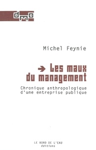 Michel Feynie - Les maux du management - Chronique anthropologique d'une entreprise publique.