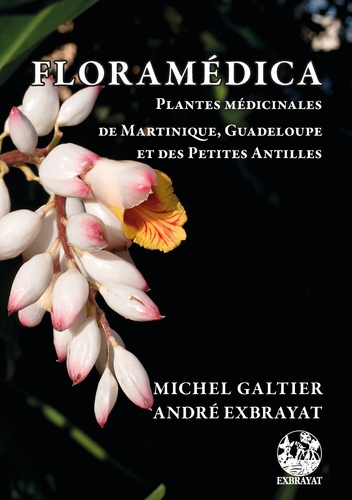 Floramédica. Plantes médicinales de Martinique, Guadeloupe et des Petites Antilles