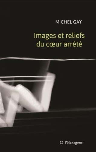 Michel Gay - Images et reliefs du coeur arrêté.