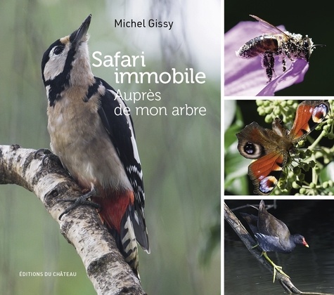 Michel Gissy - Safari immobile - Auprès de mon arbre.