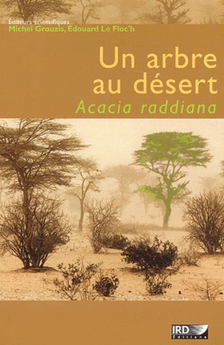 Un arbre au désert. Acacia raddiana
