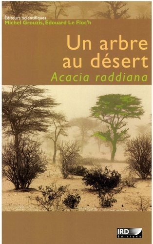 Un arbre au désert. Acacia raddiana
