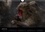 CALVENDO Animaux  JIGOKUDANI voyage au Japon (Calendrier mural 2020 DIN A4 horizontal). Un voyage à travers de magnifiques portraits de macaques japonais (Calendrier mensuel, 14 Pages )