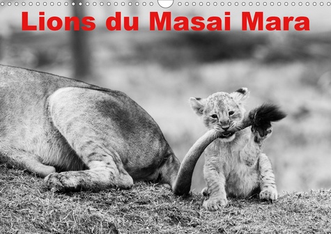 CALVENDO Animaux  Lions du Masai mara (Calendrier mural 2020 DIN A3 horizontal). Photos N&amp;B de lions libres et sauvages (Calendrier mensuel, 14 Pages )