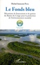 Michel Innocent Peya - Le Fonds bleu - Mécanisme de financement et de gestion du Bassin du Congo pour la protection de l'environnement mondial.