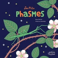 Les p'tits phasmes