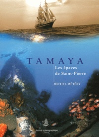 MICHEL Metery - Tamaya - Les épaves de Saint-Pierre.