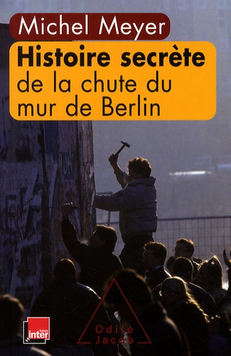 Histoire secrète de la chute du mur de Berlin - Occasion