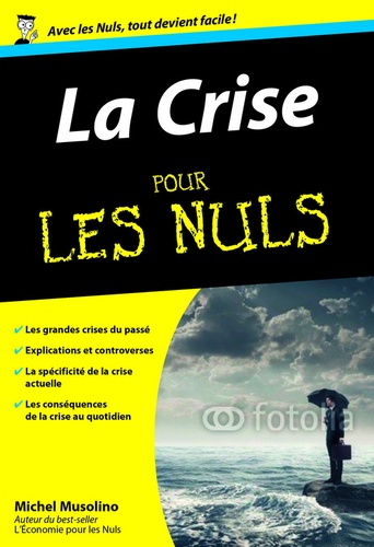 La crise pour les Nuls