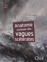 Anatomie curieuse des vagues scélérates