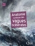 Michel Olagnon et Janette Kerr - Anatomie curieuse des vagues scélérates.