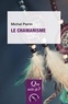 Michel Perrin - Le chamanisme.