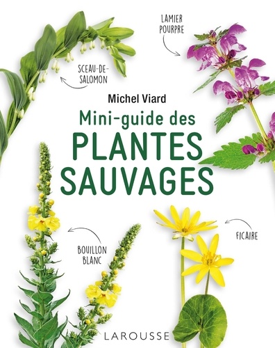 Mini-guide des plantes sauvages