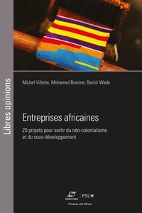 Michel Villette et Mohamed Branine - Entreprises africaines - Vingt projets pour sortir du néo-colonialisme et du sous-développement.