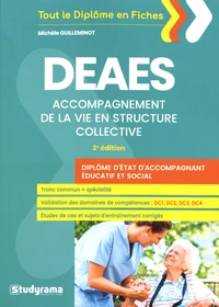 DEAES Accompagnement de la vie en structure collective