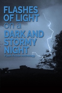  Michele Venne - Flashes of Light on a Dark and Stormy Night: A Flash Fiction Anthology.