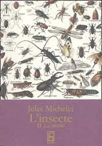 L'insecte