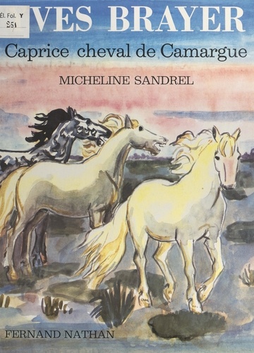 Caprice, cheval de Camargue